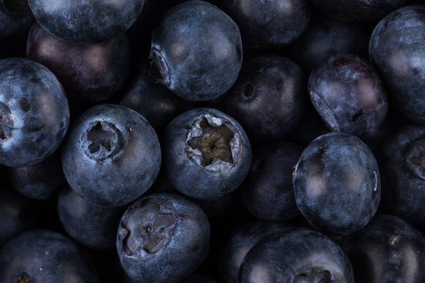 Blueberries on white background - Photo, image