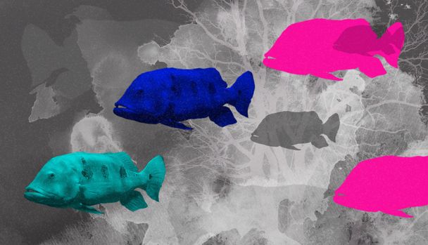 digitale kunst collage achtergrond met vis - Foto, afbeelding