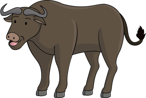 Buffalo animal - Vektor, kép