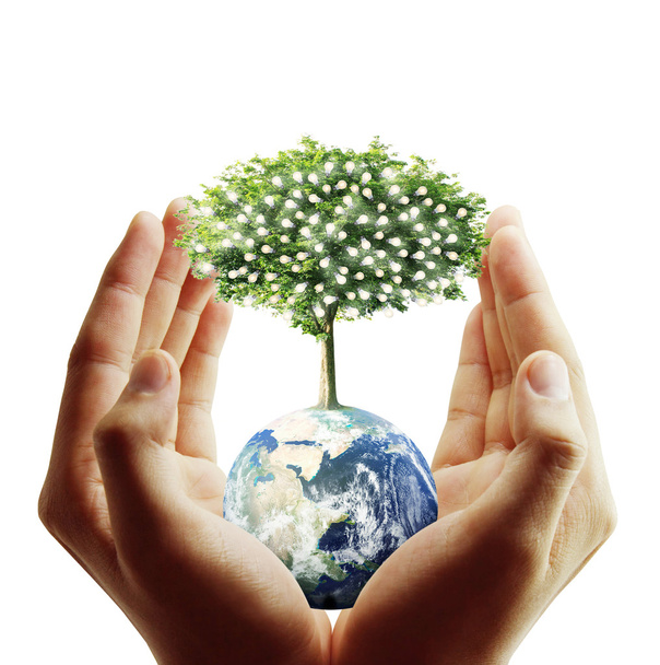 Globe ,earth in human hand, hand holding our planet earth glowin - Photo, Image
