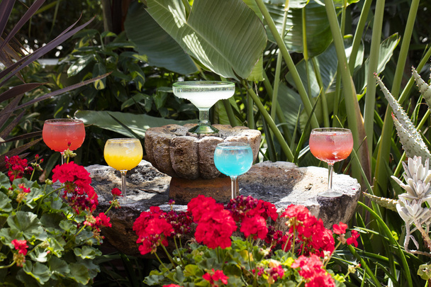 Margarita-lasien ja juomien ryhmittely
 - Valokuva, kuva