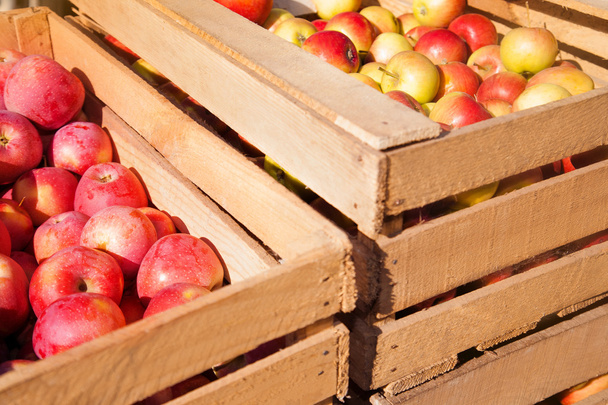 Ξύλινα κουτιά με ώριμα κόκκινα μήλα - Φωτογραφία, εικόνα
