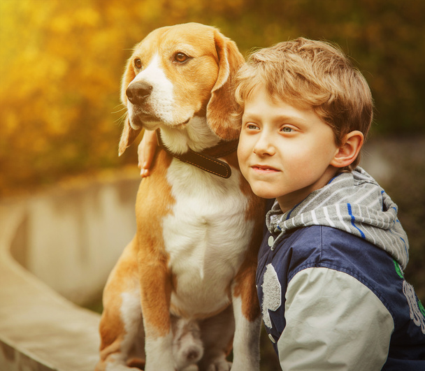Junge mit Beagle-Porträt - Foto, Bild