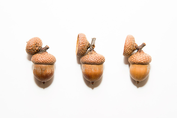 Three acorns with hats on over white - Photo, Image