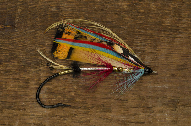 Rosy Dawn Salmon Fly - Photo, Image