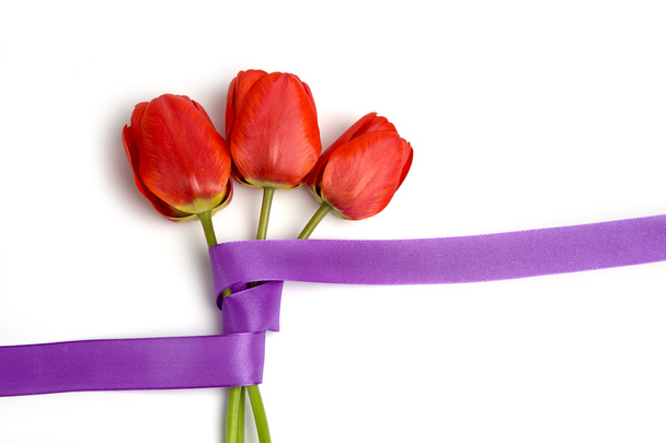 Tulips with violet ribbon - Foto, Imagen