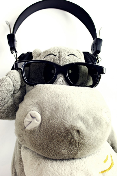 Hippo muziek - Foto, afbeelding