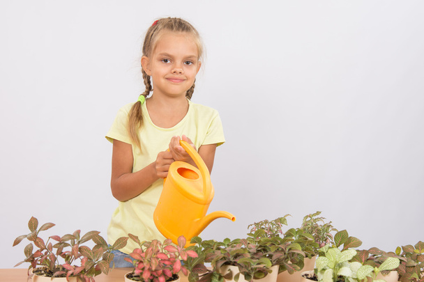 Altı yaşındaki bir kız Saksı bitkileri sulama - Fotoğraf, Görsel