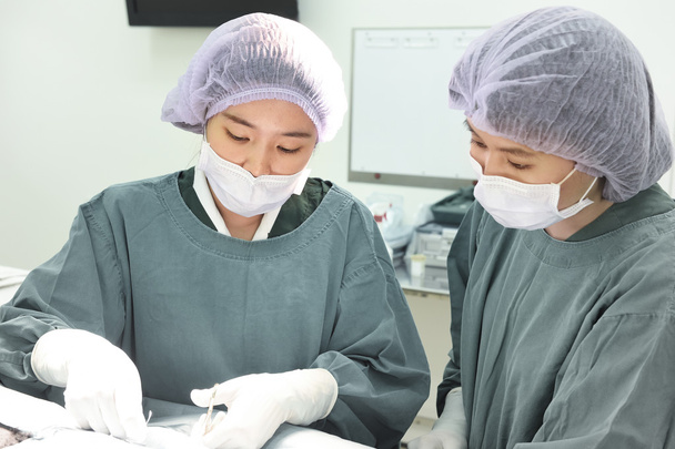 two veterinarian surgeons in operating room - Foto, Bild