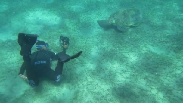 Buceador y tortuga marina grande
 - Metraje, vídeo
