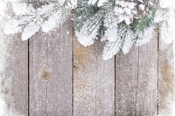 雪と firtree と古いウッド テクスチャ - 写真・画像