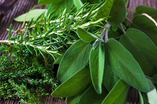 Freshly harvested green herbs - Photo, image