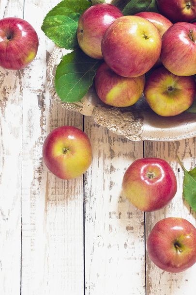 Fresh harvest of apples.Nature fruit concept. - Foto, Bild