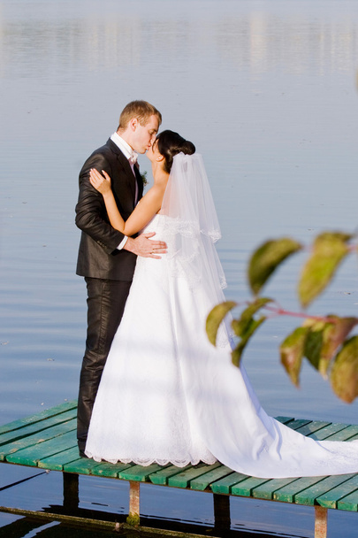 nevěsta a ženich - Fotografie, Obrázek