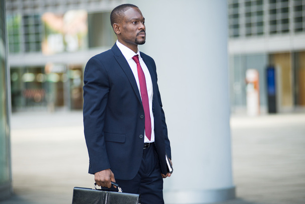 Businessman holding his briefcase - Фото, изображение