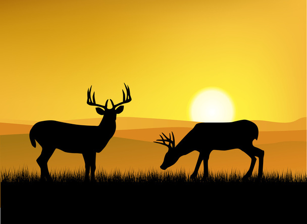 野生の鹿 - ベクター画像