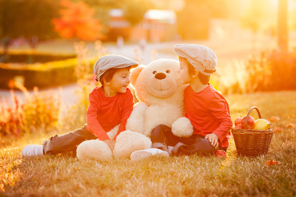Two adorable little boys with teddy bear friend in the park on s - Fotoğraf, Görsel