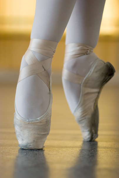 On the pointes - Photo, Image
