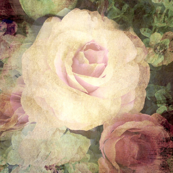 Retro rose on paper texture background - Foto, Bild