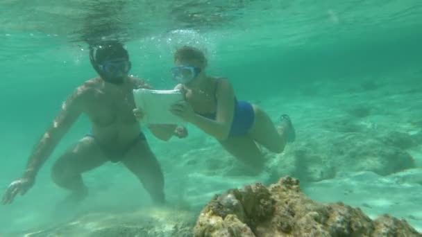Turistas buceando para tomar fotos de los arrecifes de coral
 - Imágenes, Vídeo