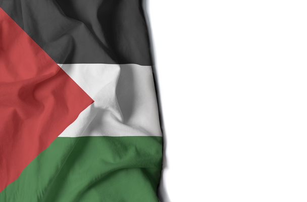 Drapeau agitant de palestine, Moyen-Orient
 - Photo, image