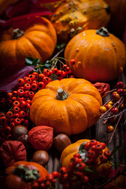 Pumpkins and Thanksgiving - Фото, изображение