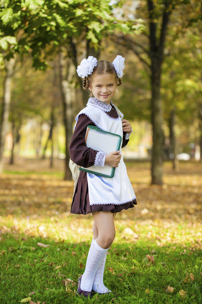 Portrait of a beautiful young first-grader in a festive school u - Photo, Image