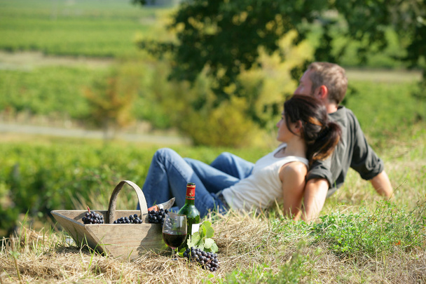 Couple drinking wine in a field - Photo, image