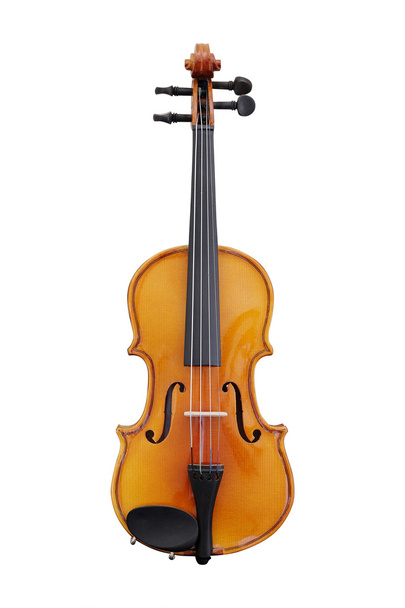 Violoncello isolated under the white background - Fotografie, Obrázek