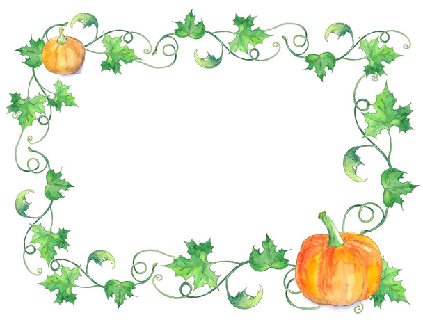 Border from pumpkins with leaves - Foto, Bild