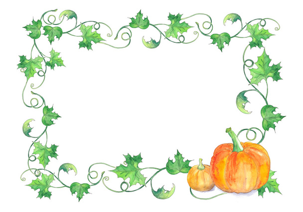 Border from pumpkins with leaves - Foto, imagen