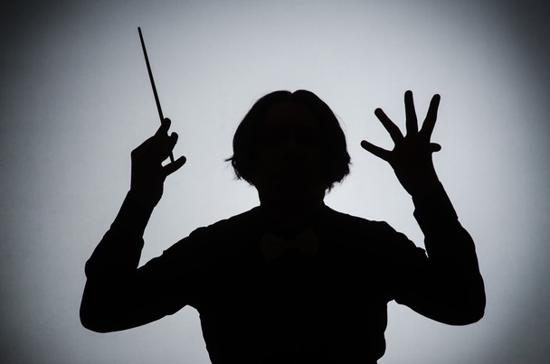 Grappige dirigent in muzikaal concept - Foto, afbeelding