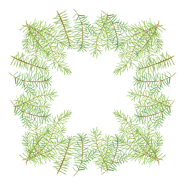 Green watercolor frame pine branches - Foto, immagini