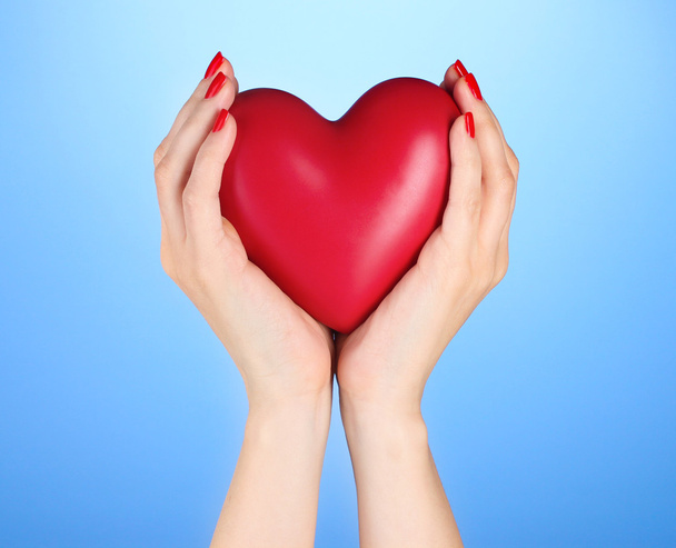 Červené srdce v Zenske ruce na modrém pozadí - Fotografie, Obrázek