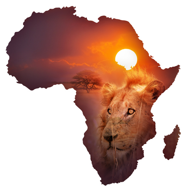 Mapa dziką Afrykańską przyrodą - Zdjęcie, obraz