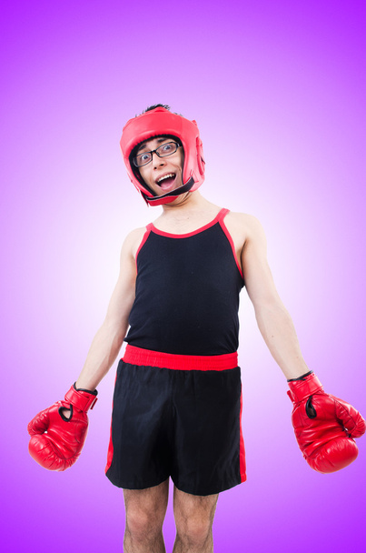 Boxer drôle isolé sur le fond violet
 - Photo, image