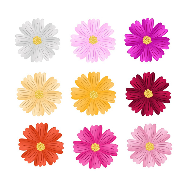 9 Assorted Cosmos Flowers on White Background - Vector, Image