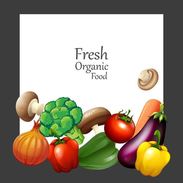 Fresh vegetables and banner - Vector, Image