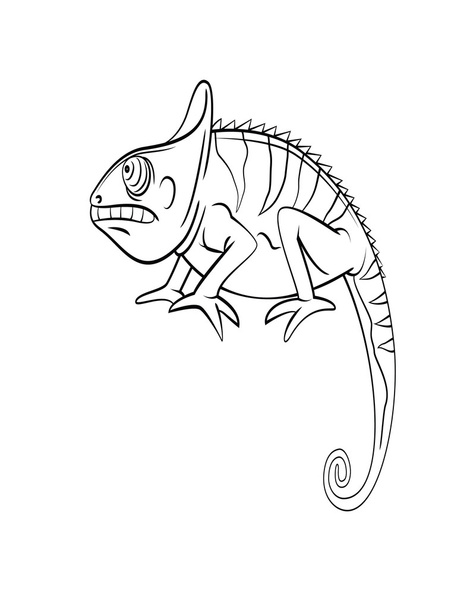 Chameleon animal - Vektor, kép