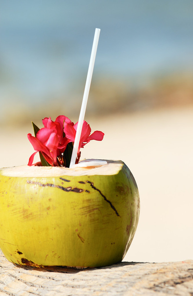 kokosnoten op het strand - Foto, afbeelding