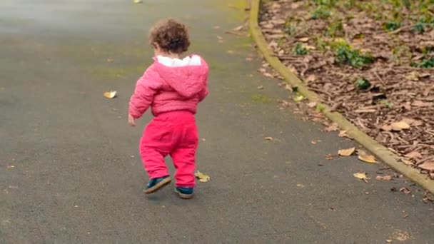 Dziecko chodzi w parku sam - Materiał filmowy, wideo