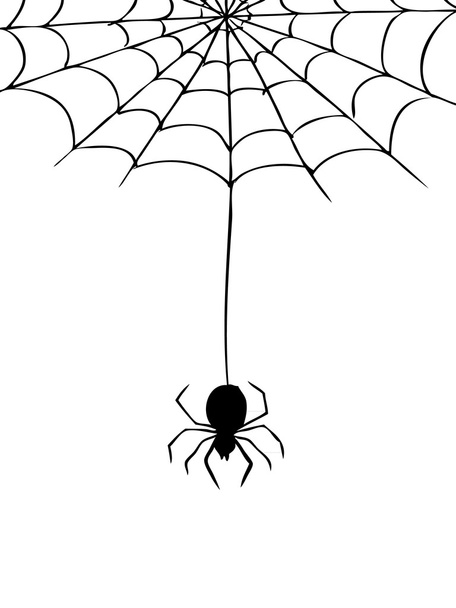 Araña y tela
 - Vector, imagen