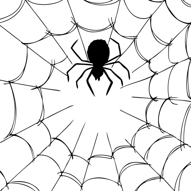 Spinne und Netz - Vektor, Bild