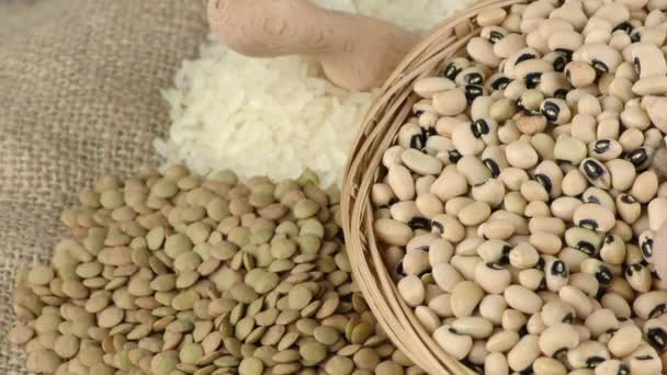 Legumes Healthy and Natural Mixed Food - Footage, Video