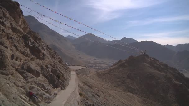 Landschap van Ladakh, ik ndia - Video