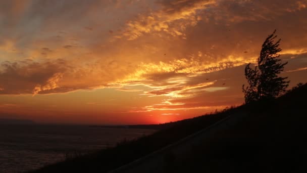 Краса заходу сонця, вітру і відкритого простору
 - Кадри, відео