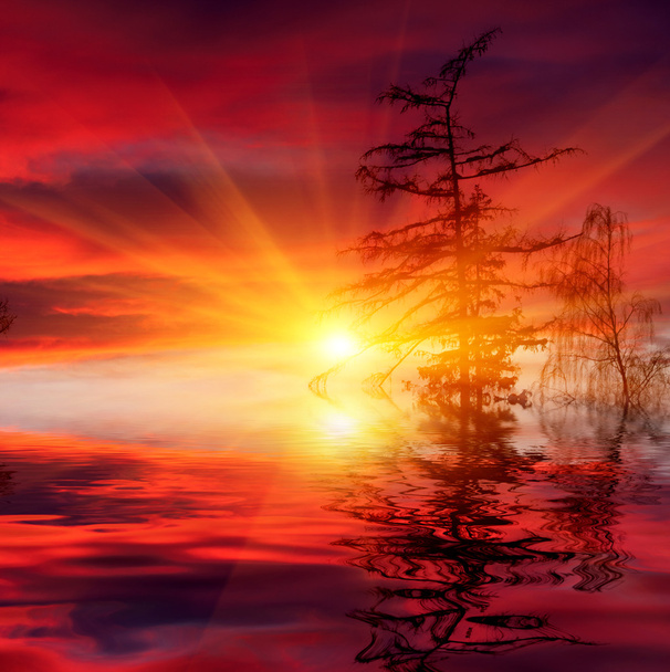 horké slunce nad jezerem - Fotografie, Obrázek