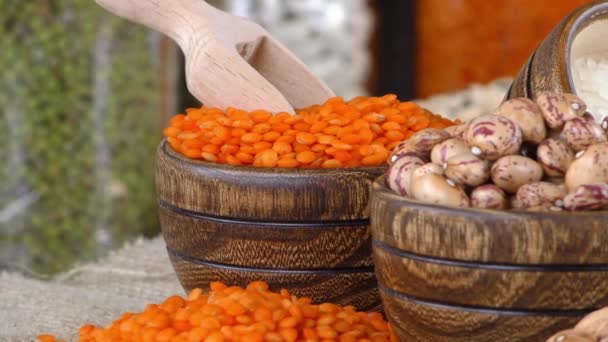 Legumes Healthy and Natural Mixed Food - Footage, Video