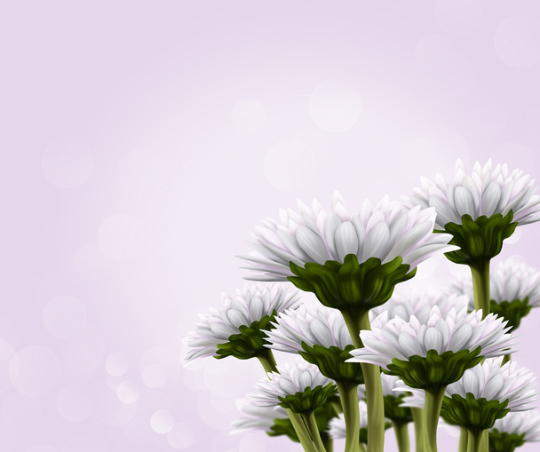 Bouquet of white flowers - Foto, Imagen