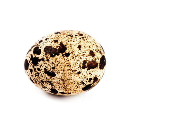 Quail egg - Φωτογραφία, εικόνα